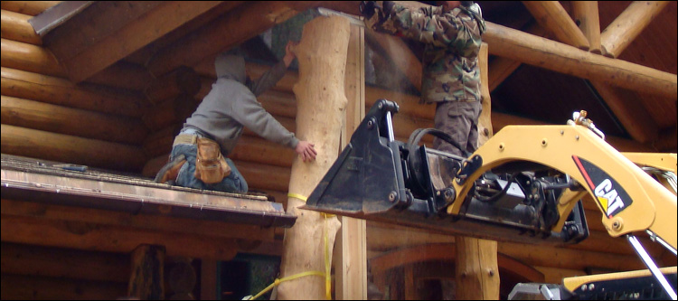 Log Home Log Replacement  Shelby County, Alabama